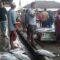 Aktivitas para pedagang di TPI Palangpang, Desa Ciwaru, Kecamatan Ciemas Kabupaten Sukabumi berjualan ikan.(FOTO : NANDI/ RADARSUKABUMI.)