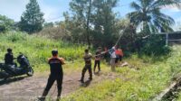 BPBD Kota Sukabumi Evakuasi Pohon Tumbang 