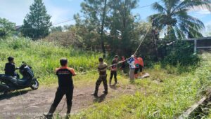 BPBD Kota Sukabumi Evakuasi Pohon Tumbang 
