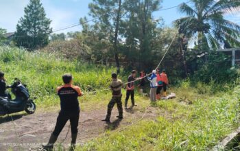 EVAKUASI: Sejumlah personel BPBD Kota Sukabumi saat melakukan evakuasi pohon tumbang di Kelurahan Sudajaya Hilir, Kecamatan Baro, Senin (7/4).