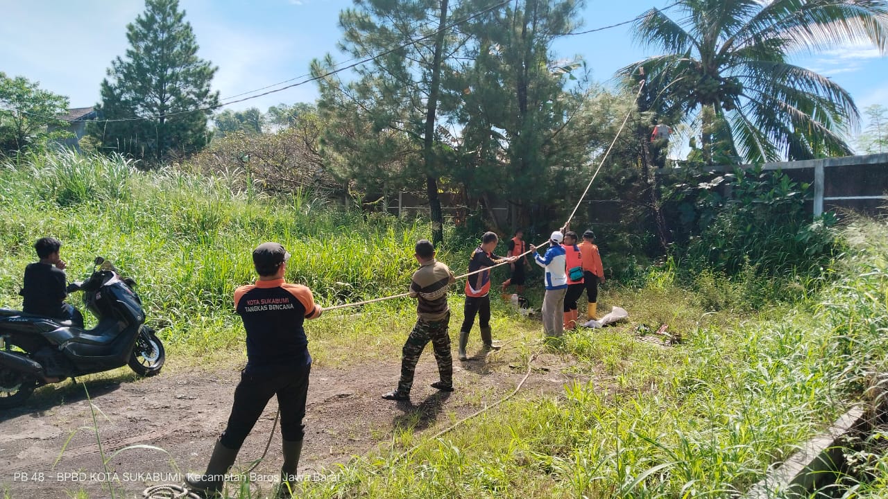 EVAKUASI: Sejumlah personel BPBD Kota Sukabumi saat melakukan evakuasi pohon tumbang di Kelurahan Sudajaya Hilir, Kecamatan Baro, Senin (7/4).
