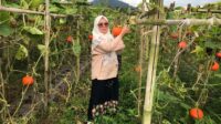 Kasus Stunting Haram Muncul di Sukabumi, DKP Janjikan Soal Ini