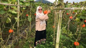 Kasus Stunting Haram Muncul di Sukabumi, DKP Janjikan Soal Ini