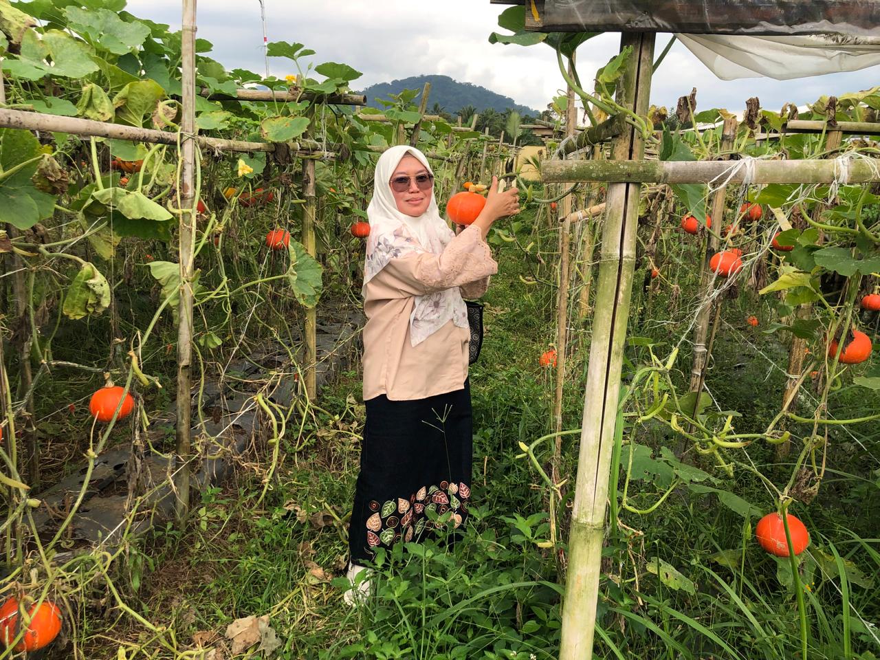 Sekretaris DKP Kabupaten Sukabumi, Dr. Titin Malikatun Andadari, saat meninjau lokasi pertanian labu kaboca di Desa Kebonpedes, untuk mendongrak ketahanan pangan.