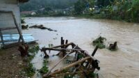 Penyebab Banjir di Cibadak Sukabumi Rusak Sawah dan Rumah, Warga Soal Kebun Sawit!
