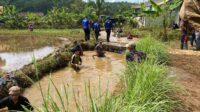 Cegah Banjir Susulan, Warga Cibadak dan Petugas Gabungan Bersihkan Sungai Pangasahan 