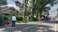 Petugas Gabungan Pangkas Pohon Rawan Tumbang di Cikembang