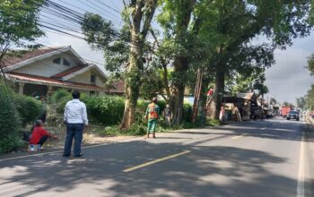 DIPANGKAS : Petugas gabungan saat memangkas pohon di pinggir Jalan Raya Nasional, Cibadak-Cikembang, tepatnya di Kampung Kebon Jeruk, RW 10, Desa Sukamulya, Kecamatan Cikembar, Kabupaten Sukabumi pada Rabu (16/04).(FOTO : UNTUK RADAR SUKABUMI)