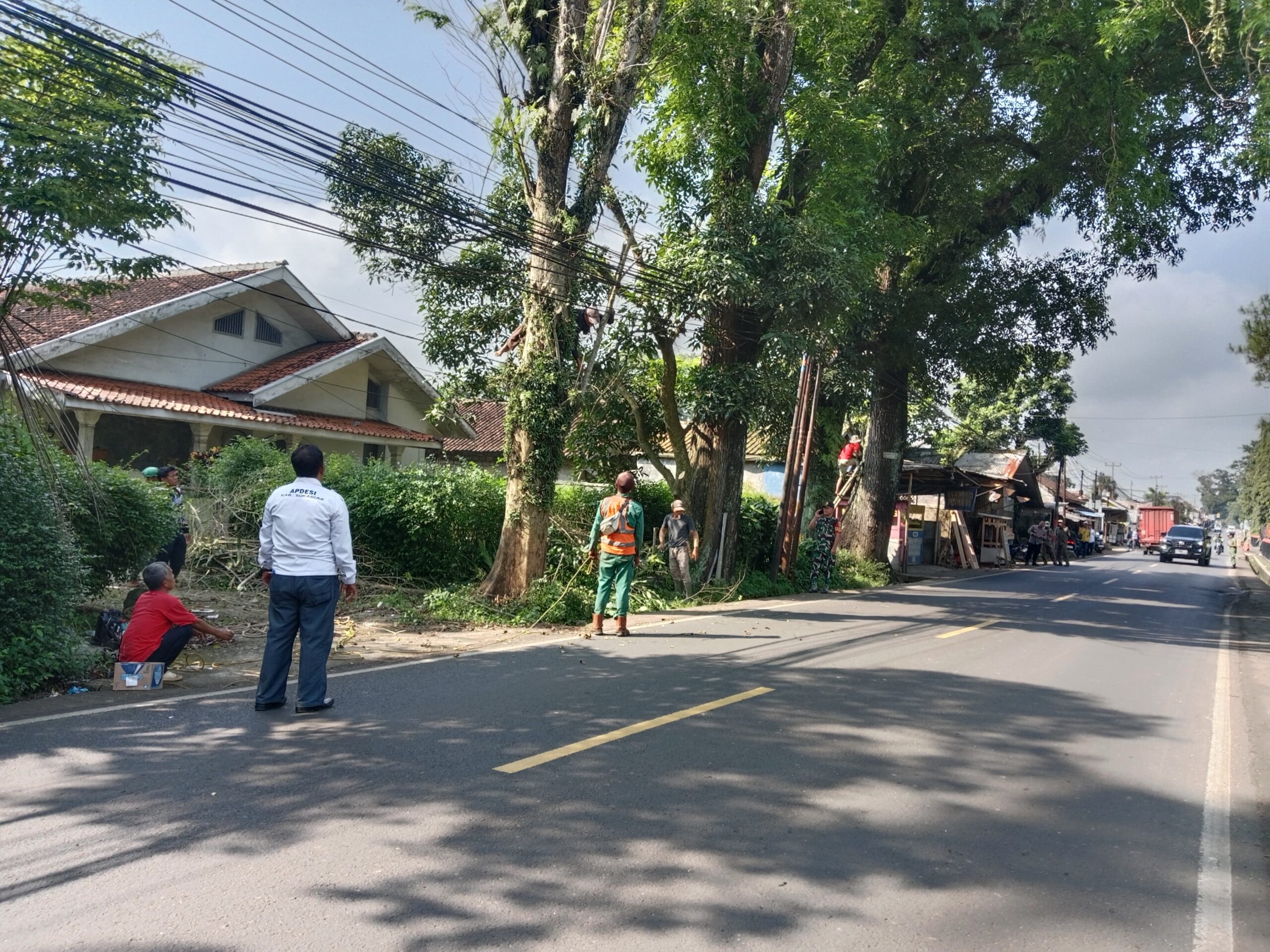 DIPANGKAS : Petugas gabungan saat memangkas pohon di pinggir Jalan Raya Nasional, Cibadak-Cikembang, tepatnya di Kampung Kebon Jeruk, RW 10, Desa Sukamulya, Kecamatan Cikembar, Kabupaten Sukabumi pada Rabu (16/04).(FOTO : UNTUK RADAR SUKABUMI)