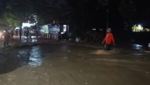 Mantan Wakil Bupati Sukabumi Ungkap Penyebab Banjir Palabuhanratu, 80 Hektar Hutan Hilang!