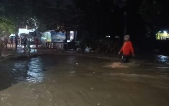 Sebanyak 80 hektar hutan di wilayah Palabuhanratu dilaporkan hilang, dan sebagian besar lahan tersebut kini telah beralih fungsi menjadi kawasan perumahan.