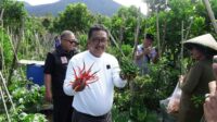 Sambut Hari Bumi Sedunia, Asjap Giatkan Sinergi dengan Petani 