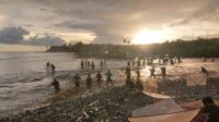 Potret Keseruan Tangkap Impun di Muara Sungai Cimaja Sukabumi
