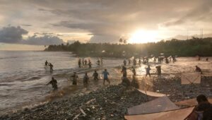 Potret Keseruan Tangkap Impun di Muara Sungai Cimaja Sukabumi