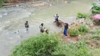 Jembatan Diterjang Banjir, Guru Hamil 7 Bulan dan Siswa Menantang Derasnya Sungai Cikaso 