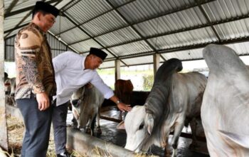 Sekretaris Kementerian Koperasi (SesKemenkop) Ahmad Zabadi menyatakan dukungan penuh terhadap pembentukan Koperasi Desa (Kopdes) Merah Putih