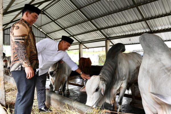 Sekretaris Kementerian Koperasi (SesKemenkop) Ahmad Zabadi menyatakan dukungan penuh terhadap pembentukan Koperasi Desa (Kopdes) Merah Putih