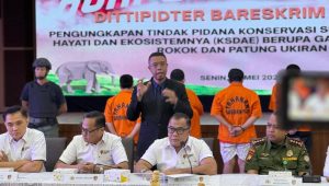 Warga Sukabumi Ditangkap Bareskrim Polri, Terlibat Perdagangan Satwa Dilindungi