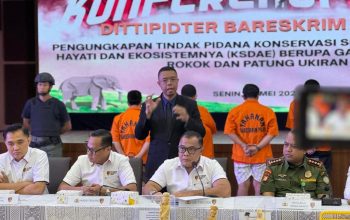 Direktorat Tindak Pidana Tertentu (Dittipidter) Bareskrim Polri mengungkap kasus perdagangan ilegal gading gajah yang dilakukan di Sukabumi,  dan Jakarta Selatan.