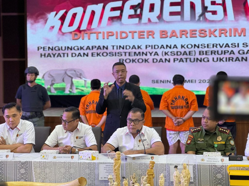 Direktorat Tindak Pidana Tertentu (Dittipidter) Bareskrim Polri mengungkap kasus perdagangan ilegal gading gajah yang dilakukan di Sukabumi,  dan Jakarta Selatan.