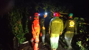 9 Kecamatan di Sukabumi Diterjang Cuaca Ekstrem, Puluhan Rumah Rusak, Akses Jalan Terhambat  