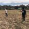 LAhan PEsawahan di Sukabumi terlantar