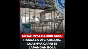 Megahnya Pabrik Susu Raksasa di Cikarang, Luasnya Capai 35 Lapangan Bola