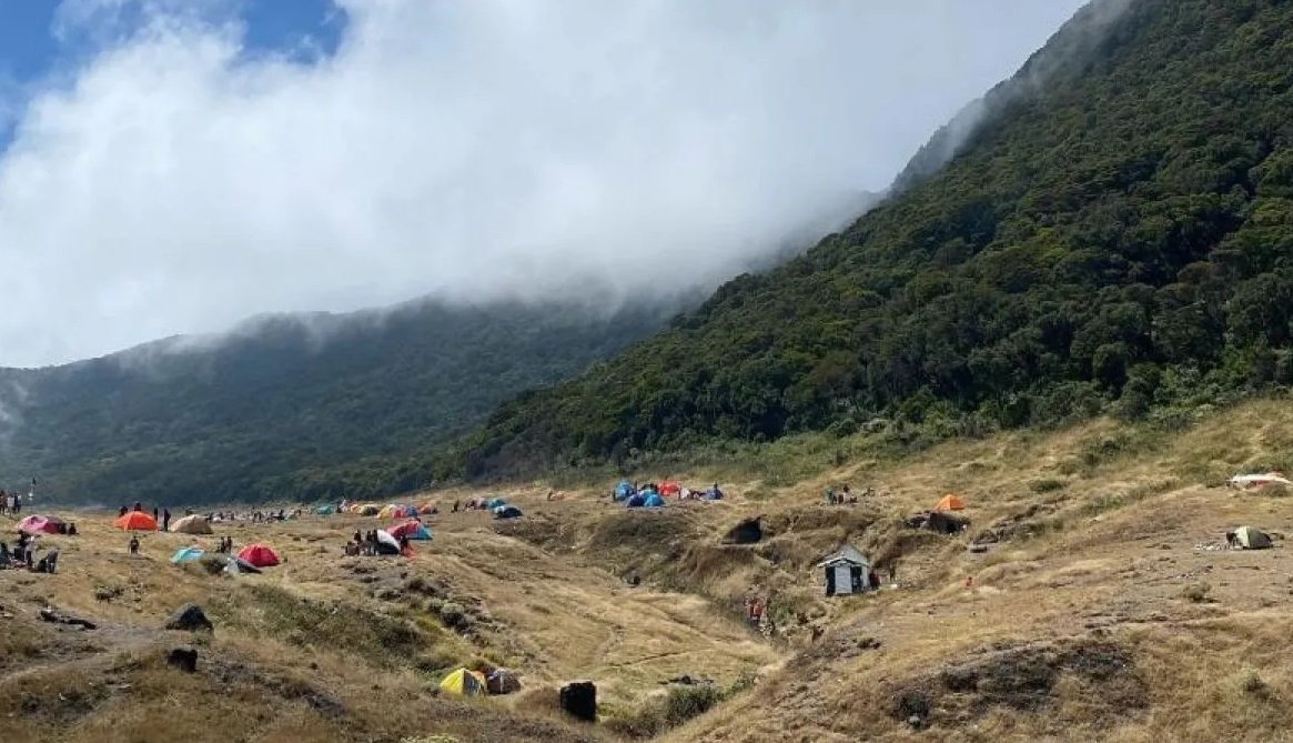 Balai Besar Taman Nasional Gunung Gede Pangrango, meningkatkan patroli petugas di Alun-alun Suryakancana dan jalur pendakian, guna meminimalisir pelanggaran di lakukan para pendaki. (Ahmad Fikri)
