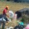 Relawan Basecamp Sauyunan Gunung Gede-Pangrango, Cianjur, Jawa Barat, melakukan operasi bersih sampah dari jalur pendakian hingga puncak gunung. ANTARA/Ahmad Fikri