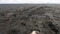 Puluhan Imigran Gelap Meninggal Di Pantai