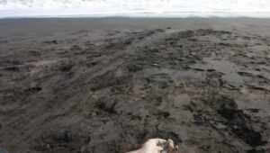 Puluhan Imigran Gelap Meninggal Di Pantai