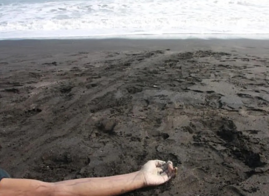 Tim SAR mengevakuasi jenazah imigran gelap di Pantai Salatri, Agrabinta, Cianjur, Jabar, Minggu (29/9). Tim SAR gabungan telah mengevakuasi 31 korban tewas, 28 selamat dan sekitar 24 lainnya masih dinyatakan hilang setelah kapal yang tumpangi imigran gelap tenggelam ketika menuju Pulau Canary, Australia. (ANTARA Foto/Jefri Aries)