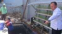 Lapas Sukabumi Panen 70 Kg Ikan Lele Warga Binaan