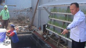 Lapas Sukabumi Panen 70 Kg Ikan Lele Warga Binaan