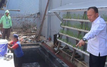 PANEN: Lapas Kelas IIB Sukabumi, saat melakukan panen ikan lele, belum lama ini.(FT: IST)