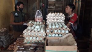 Cek Harga Sembako, Harga Cabai dan Kol Naik di Pasar Kota Sukabumi, Telur Malah Turun