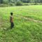 TERLANTAR : Salah seorang petani saat menunjukan lahan persawahan yang terlantar dan dipenuhi tanaman rumput akibat irigasi rusak di Kedusunan Leuwi Peundeuy, Desa Padabeunghar, Kecamatan Jampangtengah.