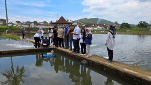 Dorong Digitalisasi, Dinas Perikanan Gandeng Komdigi Tingkatkan Budidaya Ikan di Sukabumi