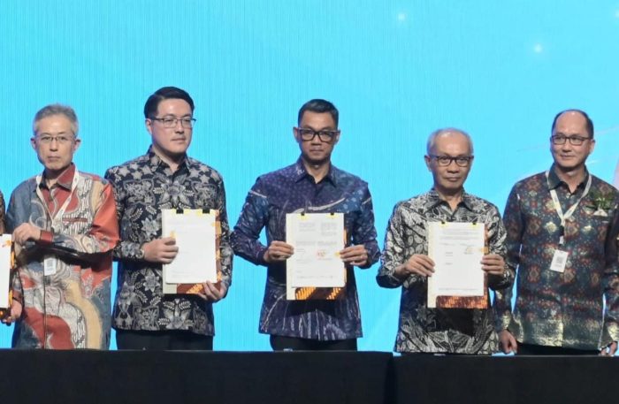 PLN