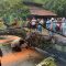 Pohon roboh di jalan nasional Palabunan Ratu - Sukabumi di Desa Pasir Suren, kecamatan Palabuhanratu, Kabupaten Sukabumi.(FOTO : NANDI/ RADARSUKABUMI)