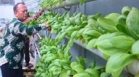 Lapas Sukabumi Panen Raya Hidroponik 