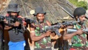 Dua Anggota OPM Anak Buah Egianus Kogoya Tewas Diterjang Peluru TNI