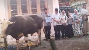 Heri Gunawan Kurban 10 Sapi dan 6 Kambing, Tradisi Berbagi dan Komitmen Sosial di Sukabumi