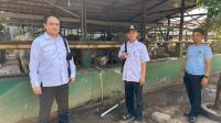 PT Berkat Cawan Energi Salurkan Tiga Ekor Sapi di  Daerah Terdampak PLTA Cimandiri