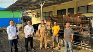 PT BCE Bagikan 13 Ekor Sapi di Sukabumi, Tiga Sapi untuk Warga Jampangtengah