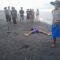 Tim SAR gabungan berhasil menemukan nelayan korban kecelakaan laut di Perairan Muara Cikaso, Kabupaten Sukabumi. Saeful (38), nahkoda kapal KM Panyalu, ditemukan dalam keadaan meninggal dunia di Pantai Cikawung, Desa Cidahu, Kecamatan Cibitung, Rabu (18/6) pagi.