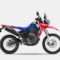 New CRF250 RALLY
