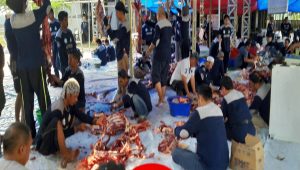 Ini Panduan Pembagian Daging Kurban Sesuai Syariat Islam