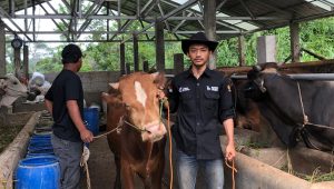 Rela Tinggalkan Keramaian Kota, Anak Muda Jebolan Peternakan UNPAD Ini Sukses Kembangkan EXA FARM hingga Pasok Sapi Kurban Kementerian