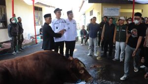 Wali Kota Sukabumi Serukan Pengabdian Lewat Kurban